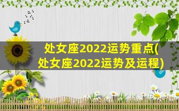 处女座2022运势重点(处女座2022运势及运程)