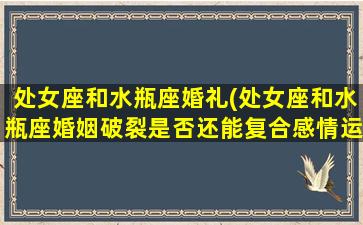 处女座和水瓶座婚礼(处女座和水瓶座婚姻破裂是否还能复合感情运势)