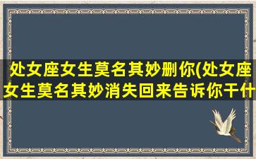 处女座女生莫名其妙删你(处女座女生莫名其妙消失回来告诉你干什么去了)