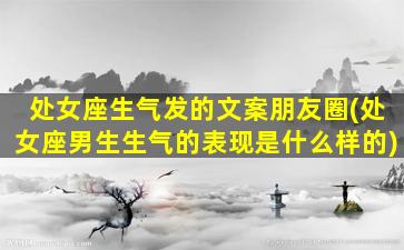 处女座生气发的文案朋友圈(处女座男生生气的表现是什么样的)