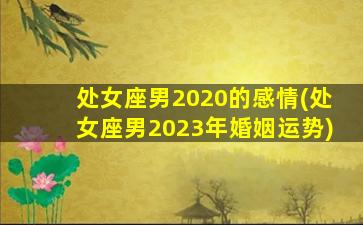 处女座男2020的感情(处女座男2023年婚姻运势)