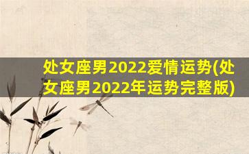 处女座男2022爱情运势(处女座男2022年运势完整版)