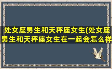 处女座男生和天秤座女生(处女座男生和天秤座女生在一起会怎么样)