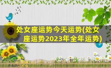 处女座运势今天运势(处女座运势2023年全年运势)