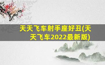 天天飞车射手座好丑(天天飞车2022最新版)