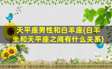 天平座男性和白羊座(白羊坐和天平座之间有什么关系)