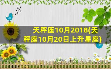 天秤座10月2018(天秤座10月20日上升星座)