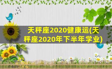 天秤座2020健康运(天秤座2020年下半年学业)