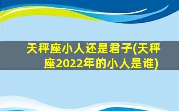 天秤座小人还是君子(天秤座2022年的小人是谁)