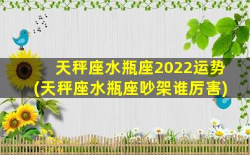 天秤座水瓶座2022运势(天秤座水瓶座吵架谁厉害)