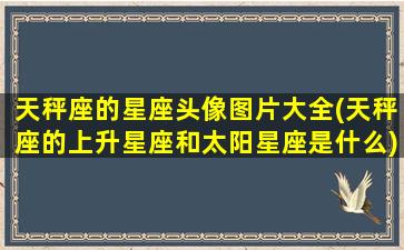 天秤座的星座头像图片大全(天秤座的上升星座和太阳星座是什么)