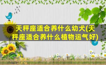 天秤座适合养什么幼犬(天秤座适合养什么植物运气好)