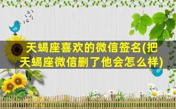 天蝎座喜欢的微信签名(把天蝎座微信删了他会怎么样)