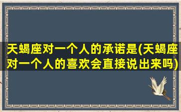 天蝎座对一个人的承诺是(天蝎座对一个人的喜欢会直接说出来吗)