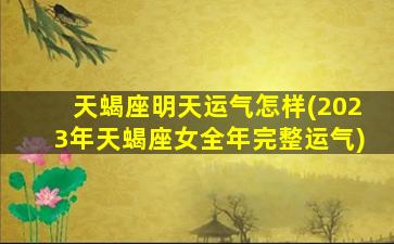 天蝎座明天运气怎样(2023年天蝎座女全年完整运气)