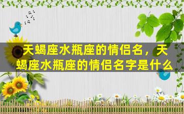 天蝎座水瓶座的情侣名，天蝎座水瓶座的情侣名字是什么