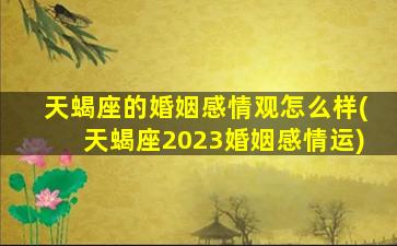 天蝎座的婚姻感情观怎么样(天蝎座2023婚姻感情运)