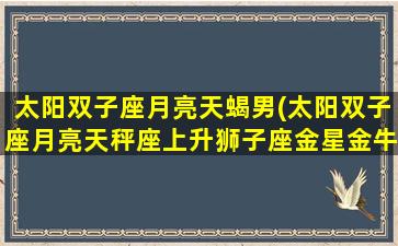 太阳双子座月亮天蝎男(太阳双子座月亮天秤座上升狮子座金星金牛座男)