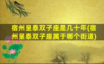 宿州呈泰双子座是几十年(宿州呈泰双子座属于哪个街道)