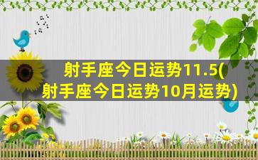 射手座今日运势11.5(射手座今日运势10月运势)