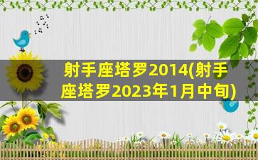 射手座塔罗2014(射手座塔罗2023年1月中旬)