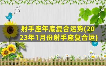 射手座年底复合运势(2023年1月份射手座复合运)