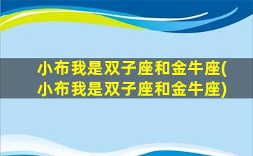 小布我是双子座和金牛座(小布我是双子座和金牛座)