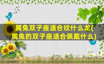 属兔双子座适合纹什么龙(属兔的双子座适合佩戴什么)