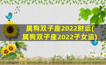 属狗双子座2022财运(属狗双子座2022子女运)