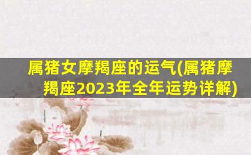 属猪女摩羯座的运气(属猪摩羯座2023年全年运势详解)