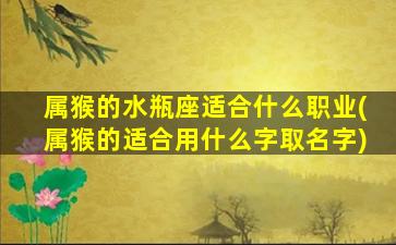 属猴的水瓶座适合什么职业(属猴的适合用什么字取名字)