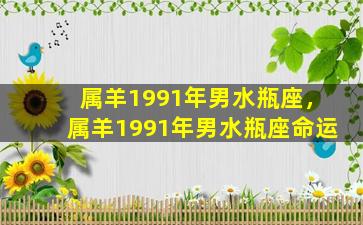 属羊1991年男水瓶座，属羊1991年男水瓶座命运