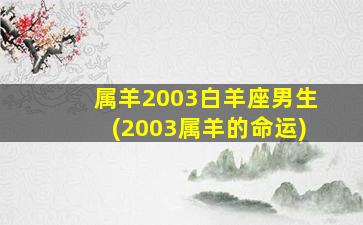 属羊2003白羊座男生(2003属羊的命运)