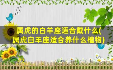 属虎的白羊座适合戴什么(属虎白羊座适合养什么植物)