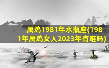 属鸡1981年水瓶座(1981年属鸡女人2023年有难吗)