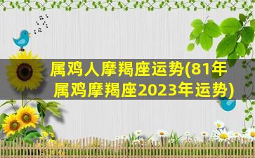 属鸡人摩羯座运势(81年属鸡摩羯座2023年运势)