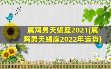 属鸡男天蝎座2021(属鸡男天蝎座2022年运势)