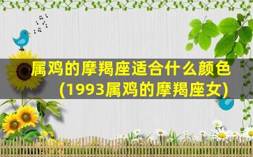 属鸡的摩羯座适合什么颜色(1993属鸡的摩羯座女)