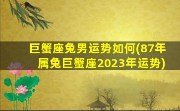 巨蟹座兔男运势如何(87年属兔巨蟹座2023年运势)