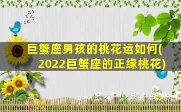 巨蟹座男孩的桃花运如何(2022巨蟹座的正缘桃花)