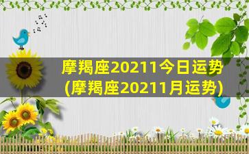 摩羯座20211今日运势(摩羯座20211月运势)