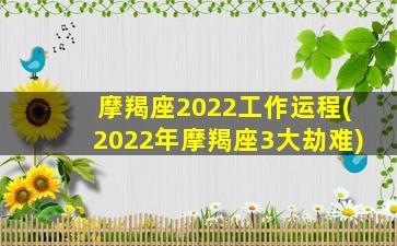 摩羯座2022工作运程(2022年摩羯座3大劫难)