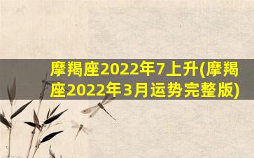 摩羯座2022年7上升(摩羯座2022年3月运势完整版)