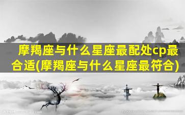 摩羯座与什么星座最配处cp最合适(摩羯座与什么星座最符合)