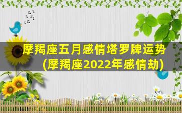 摩羯座五月感情塔罗牌运势(摩羯座2022年感情劫)