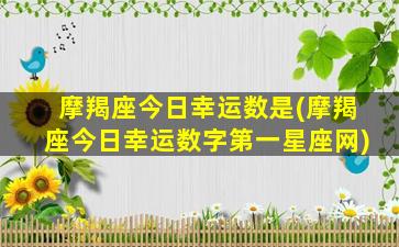 摩羯座今日幸运数是(摩羯座今日幸运数字第一星座网)