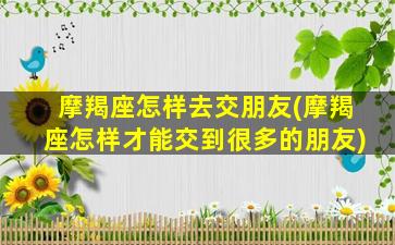 摩羯座怎样去交朋友(摩羯座怎样才能交到很多的朋友)