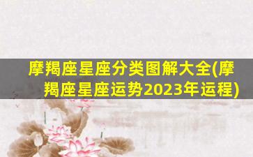 摩羯座星座分类图解大全(摩羯座星座运势2023年运程)