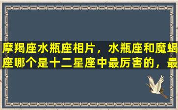 摩羯座水瓶座相片，水瓶座和魔蝎座哪个是十二星座中最厉害的，最可怕的