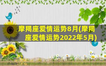 摩羯座爱情运势8月(摩羯座爱情运势2022年5月)